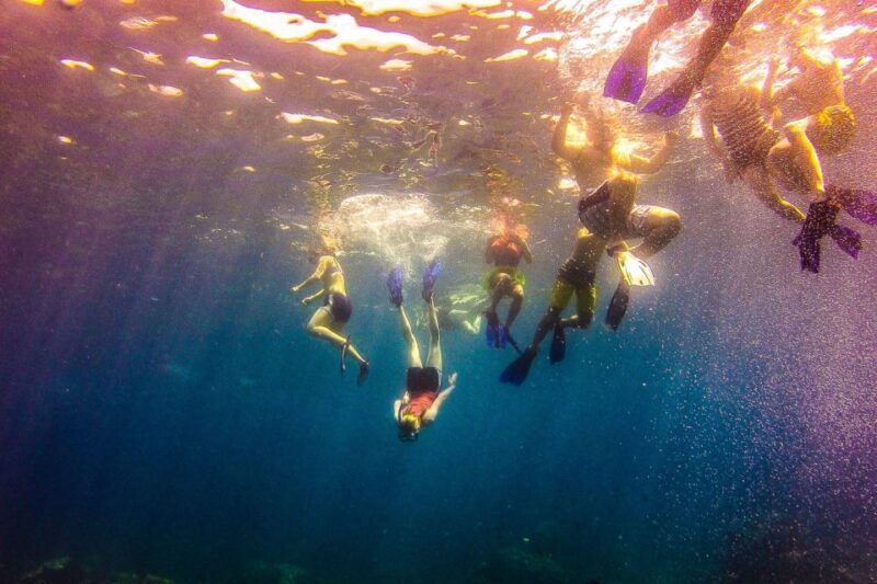 La Romana: Catalina Island Full-Day Snorkeling Tour - FAQs