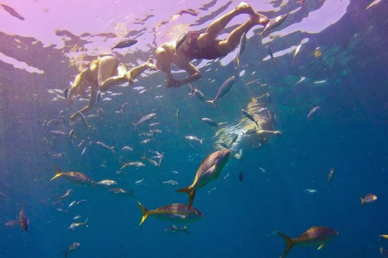 La Romana: Catalina Island Full-Day Snorkeling Tour - Final Thoughts