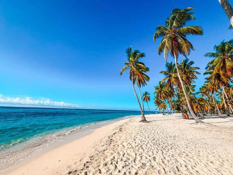 La Romana: Saona Crusoe VIP for cruise guests - Key Points