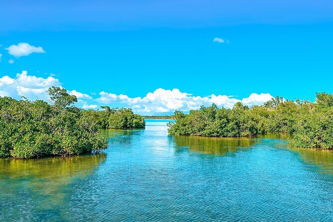 La Romana: Saona Crusoe VIP - Kreuzfahrtgäste - Final Thoughts: Is it Worth It?