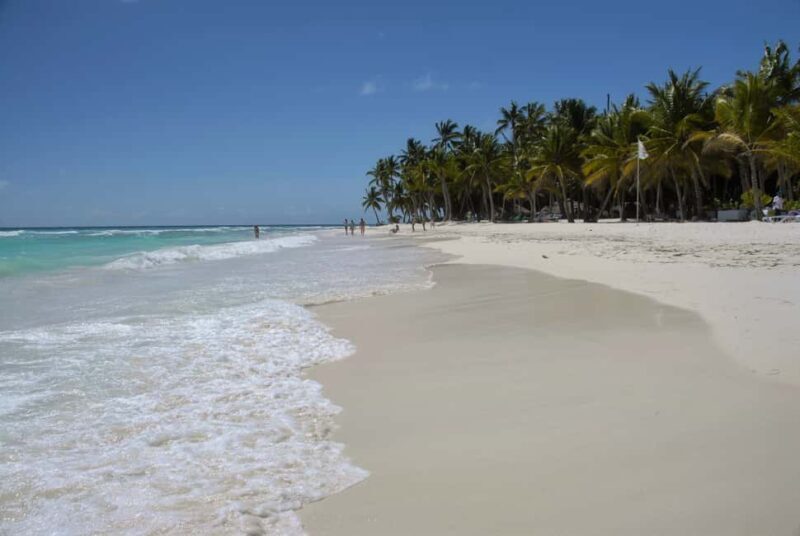 La Romana: Saona Island for Norwegian Sky Cruise Passengers - Experience Quality and Group Size