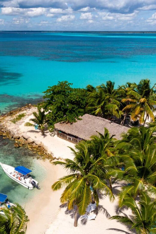 La Romana: Saona Island for Norwegian Sky Cruise Passengers - Accessibility and Considerations