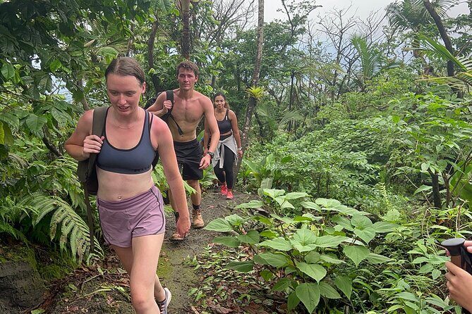 La Soufrière Volcano Hike, St Vincent and the Grenadines - What Travelers Love — and What to Consider