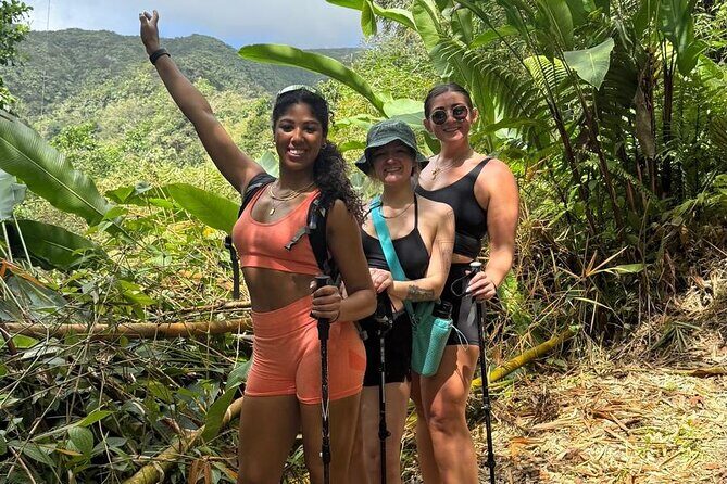 La Soufriere Volcano Hike /Topdawg Tours - Overall Value and Suitability
