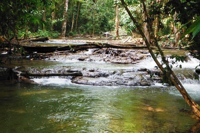 Lacandon Jungle Adventure and Bonampak Archaelogical Site from Palenque - The Pros and Cons: A Balanced View
