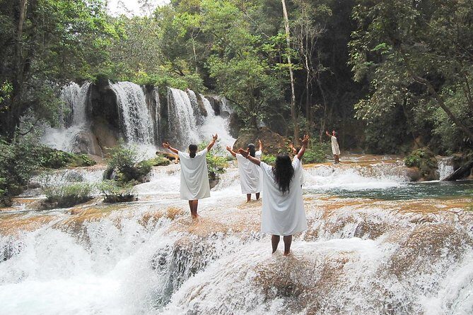 Lacandon Jungle Adventure and Bonampak Archaelogical Site from Palenque - Who Should Sign Up?
