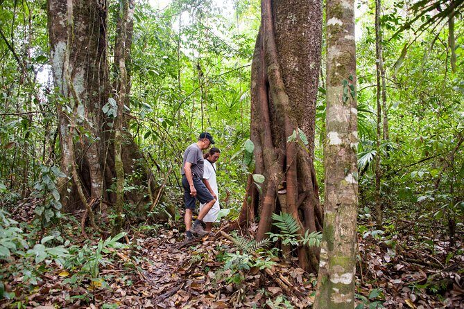 Lacandon Jungle Adventure and Bonampak Archaelogical Site from Palenque - Final Thoughts: Is It Worth It?