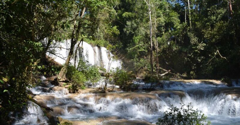 Lacandon Jungle Adventure and Bonampak Archaelogical Site - An In-Depth Look at the Lacandon Jungle Adventure
