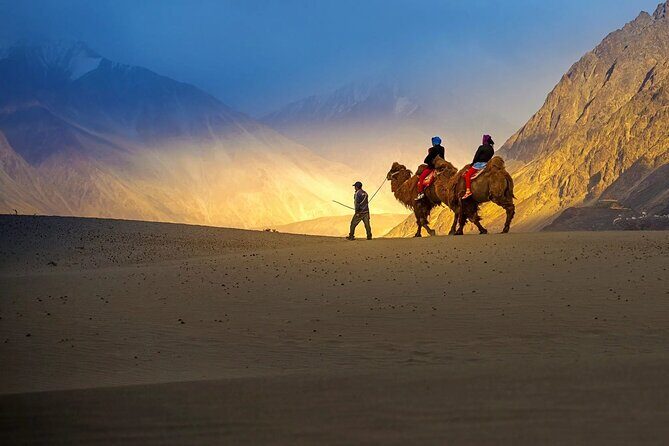 Ladakh Private Tours - Who Should Consider This Tour?