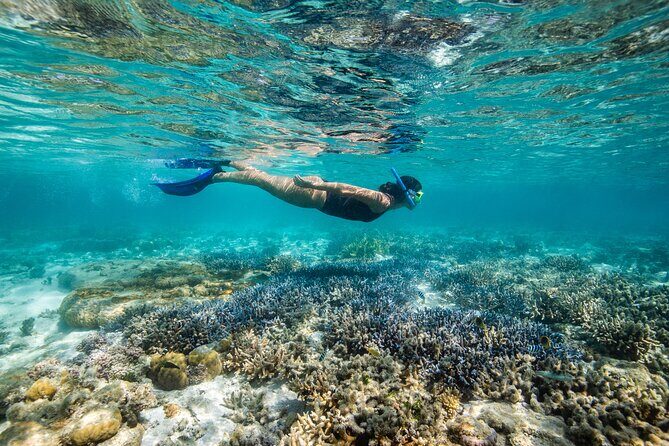 Lady Enid Sailing to Hook Island Cultural Site & Snorkelling - What Makes This Tour Special?