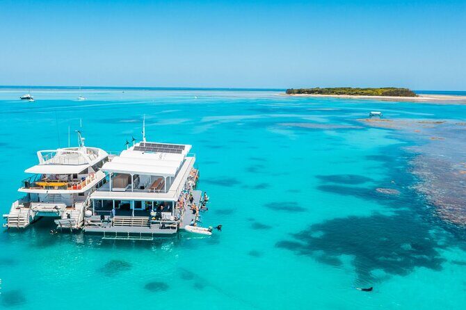 Lady Musgrave Day Trip from Bundaberg Including Snorkeling - The Real Traveler Insights