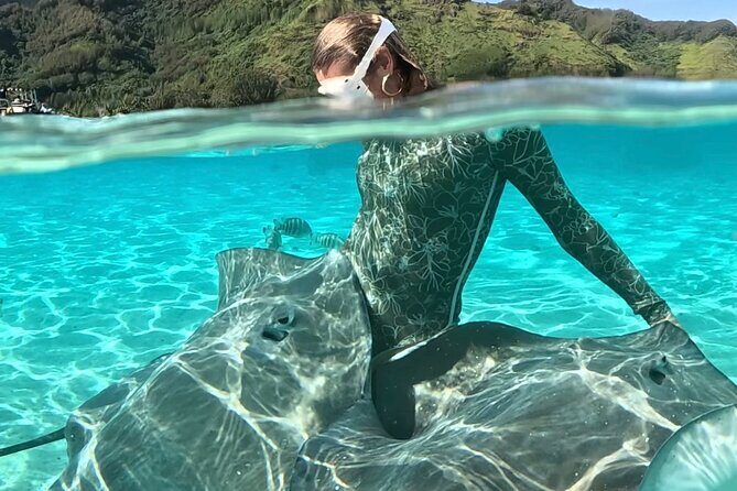 Lagoon and Marine Wildlife Tour in Moorea - Introduction