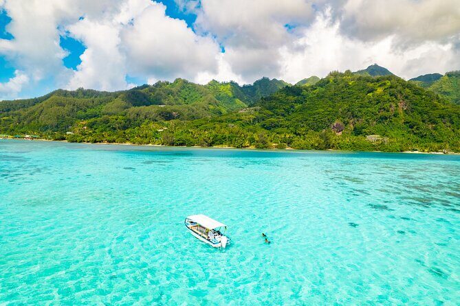 Lagoon and Marine Wildlife Tour in Moorea - A Closer Look at the Lagoon and Marine Wildlife Tour