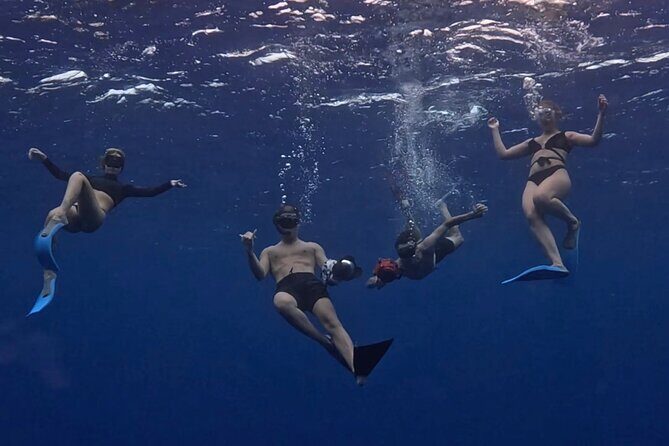 Lagoon and Marine Wildlife Tour in Moorea - Price and Value Analysis