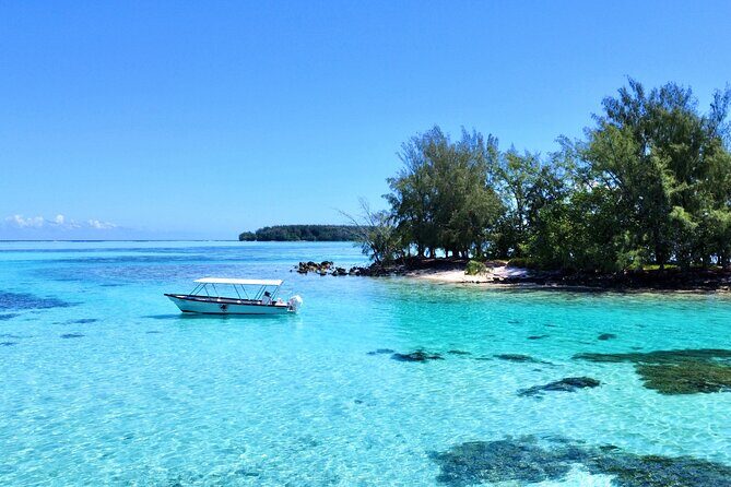 Lagoon and Marine Wildlife Tour in Moorea - Who Should Consider This Tour?