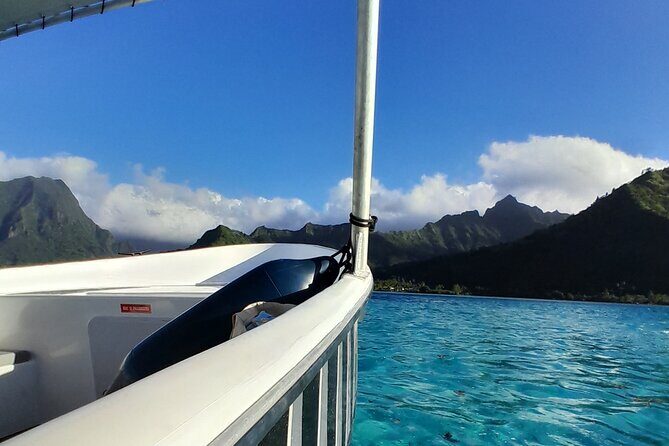 Lagoon Exploration and Snorkeling in Moorea - Dolphins and Additional Wildlife