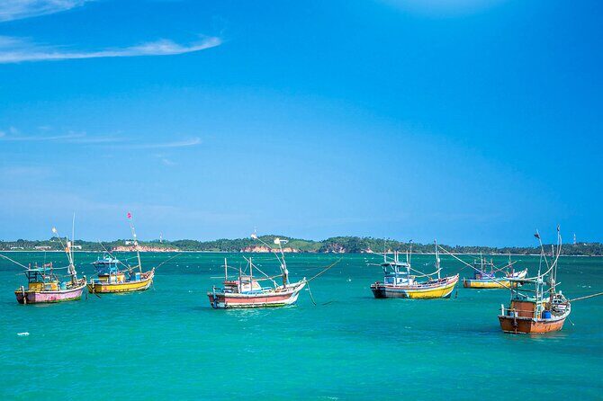 Lagoon Fishing from Negombo - Authentic and Memorable: Who Is This Tour For?