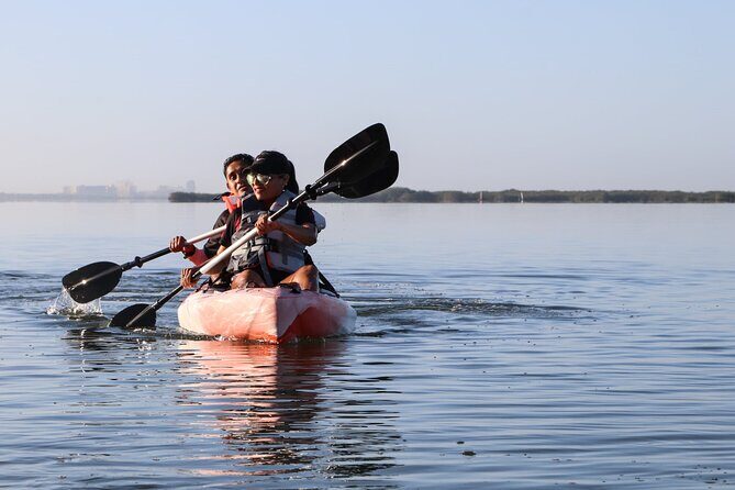 Lagoon Mangrove Tour, Kayaking and Sightseeing from Cancun - A Detailed Look at the Lagoon Mangrove Tour