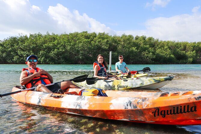 Lagoon Mangrove Tour, Kayaking and Sightseeing from Cancun - Frequently Asked Questions