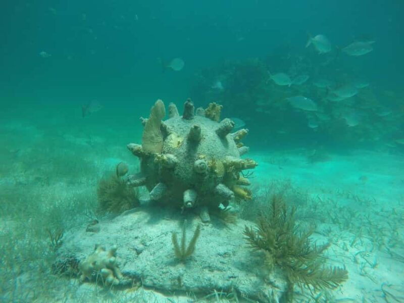 Lagoon ride and snorkeling - What to Bring and What Not to Bring