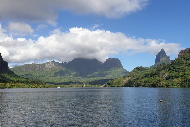Lagoon Tour - Discover the magnificent lagoon of Moorea - First Stop: Sandbank with Rays and Sharks