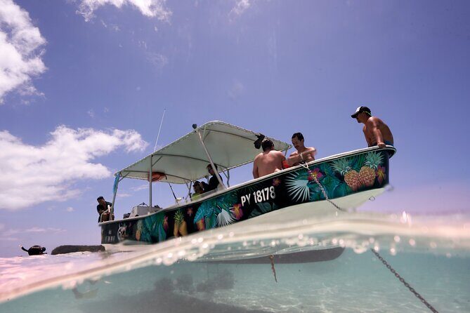 Lagoon Tour - Discover the magnificent lagoon of Moorea - Swimming with Sea Turtles