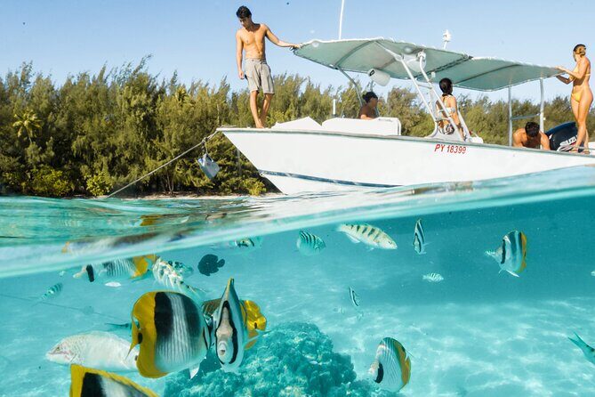 Lagoon Tour in Moorea in Small Group with Lunch - Practical Details: Making the Most of Your Day