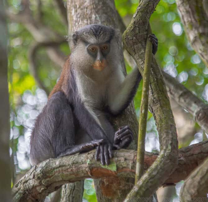 Lagos: 4-Day, 3-Night Bespoke Tours - Frequently Asked Questions