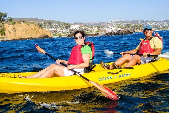 Laguna Beach Kayak Tour with Sea Lion Viewing - An In-Depth Look at What to Expect