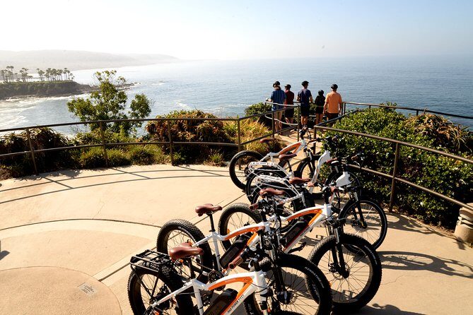 Laguna Beach Kayak Tour with Sea Lion Viewing - Concluding Remarks: Who Will Love This Experience?