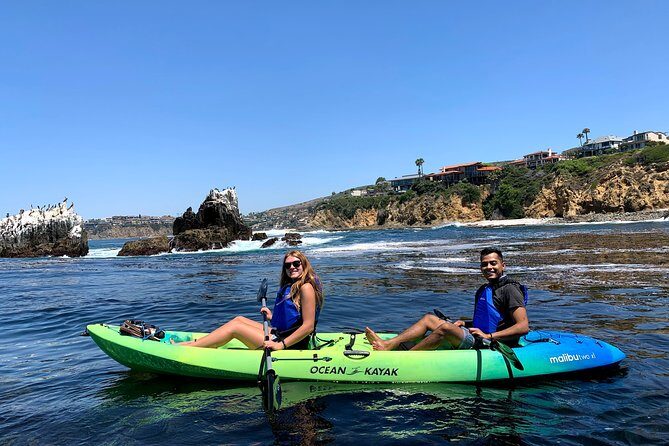Laguna Beach Open Ocean Kayaking Tour with Sea Lion Sightings - Key Points