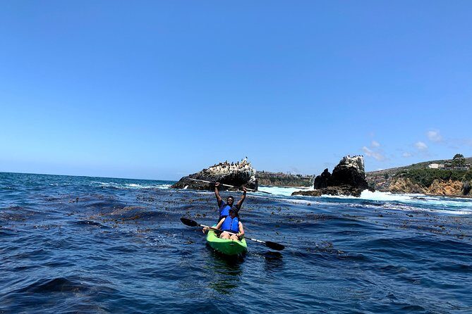 Laguna Beach Open Ocean Kayaking Tour with Sea Lion Sightings - Frequently Asked Questions