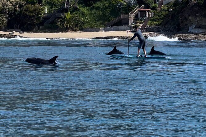 Laguna Beach Stand Up Paddle Activity - Key Points