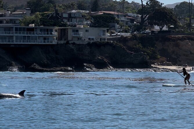 Laguna Beach Stand Up Paddle Activity - Additional Practical Information