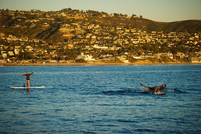 Laguna Beach SUP Lesson and Tour - Who Should Book This?