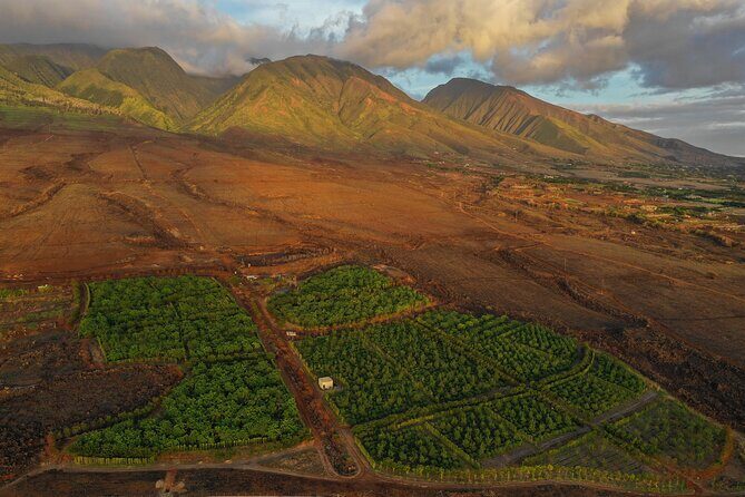 Lahaina: Maui Ku'ia Estate Guided Cacao Farm Tour and Tasting - Who Will Love This Tour?