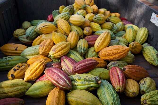 Lahaina: Maui Ku'ia Estate Guided Cacao Farm Tour and Tasting - Final Thoughts