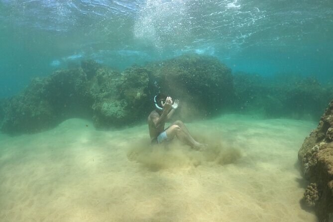 Lahaina Reef Snorkeling Adventure in Maui - Meeting Points and Timing
