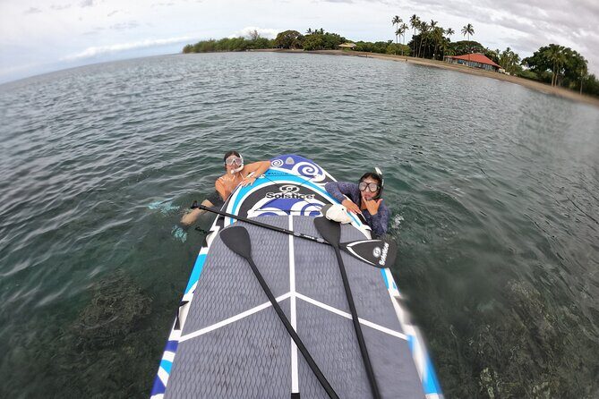 Lahaina Reef Snorkeling Adventure in Maui - Practical Tips for Participants