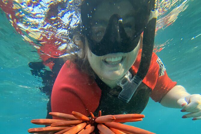 Lahaina Reef Snorkeling Adventure in Maui - Final Thoughts: Who Will Love This Tour?