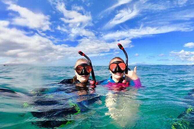 Lahaina Small Group Snorkeling Adventure - Who Will Love This Tour?
