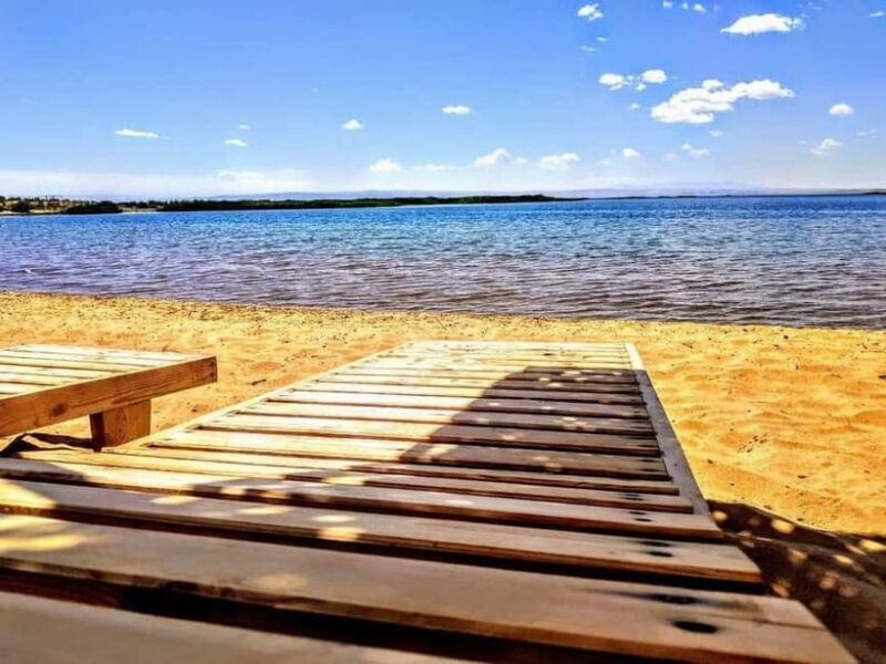 Lake Aydarkul: Kyzylkum Desert with Camel Ride & Taste Milk - Key Points