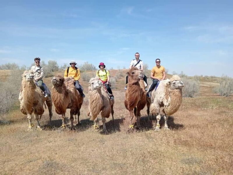 Lake Aydarkul: Kyzylkum Desert with Camel Ride & Taste Milk - Is It Worth the Price?