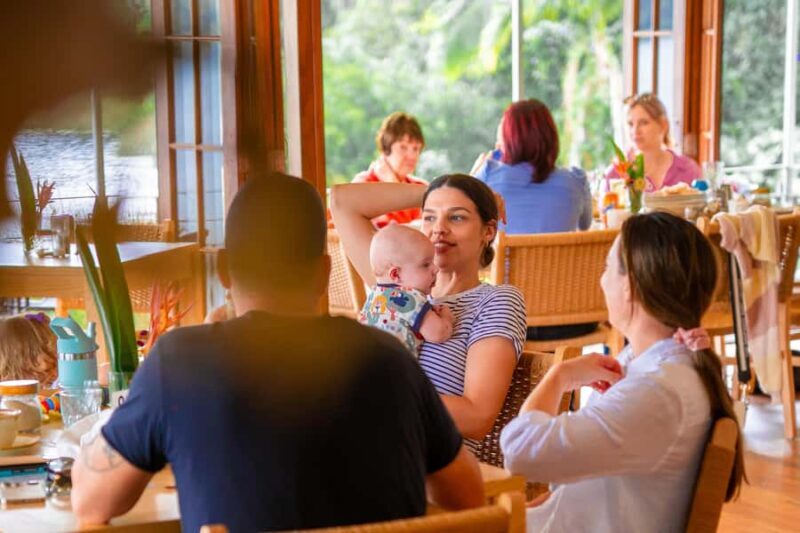 Lake Barrine Boat Cruise Discover Queenslands Hidden Gem - Reviews in a Nutshell