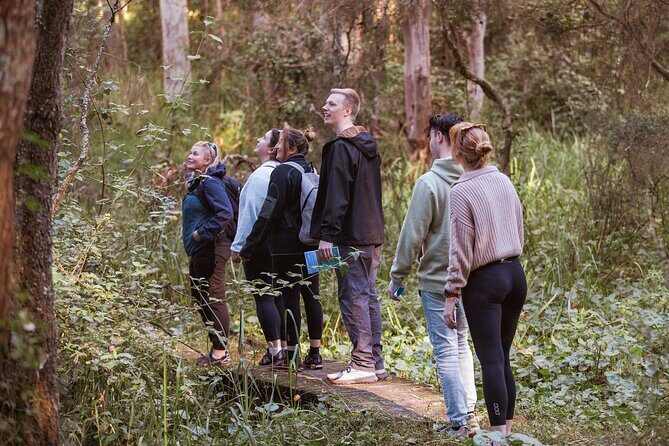 Lake Cruise and Nature Walk in Lake Macquarie - Practical Tips for Travelers