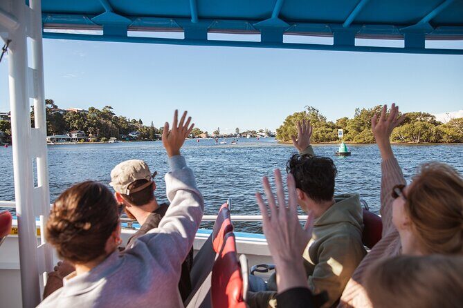 Lake Cruise and Nature Walk in Lake Macquarie - The The Sum Up: Who Should Consider This Tour?
