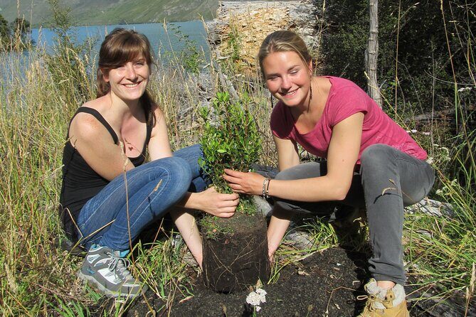 Lake Cruise & Mou Waho Island Nature Walk - What the Tour Includes and How It Operates