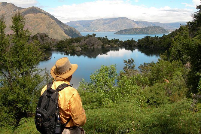 Lake Cruise & Mou Waho Island Nature Walk - The Experience on Mou Waho Island