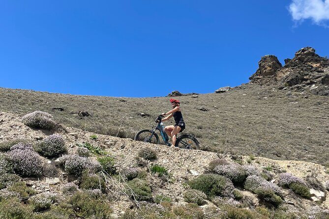 Lake Dunstan Cycleway Bike Rental And Return Shuttle - An In-Depth Look at the Lake Dunstan Cycleway Experience