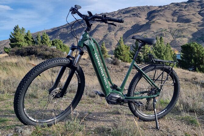 Lake Dunstan E-Bike Trail Adventure - Who’s This Tour Best For?